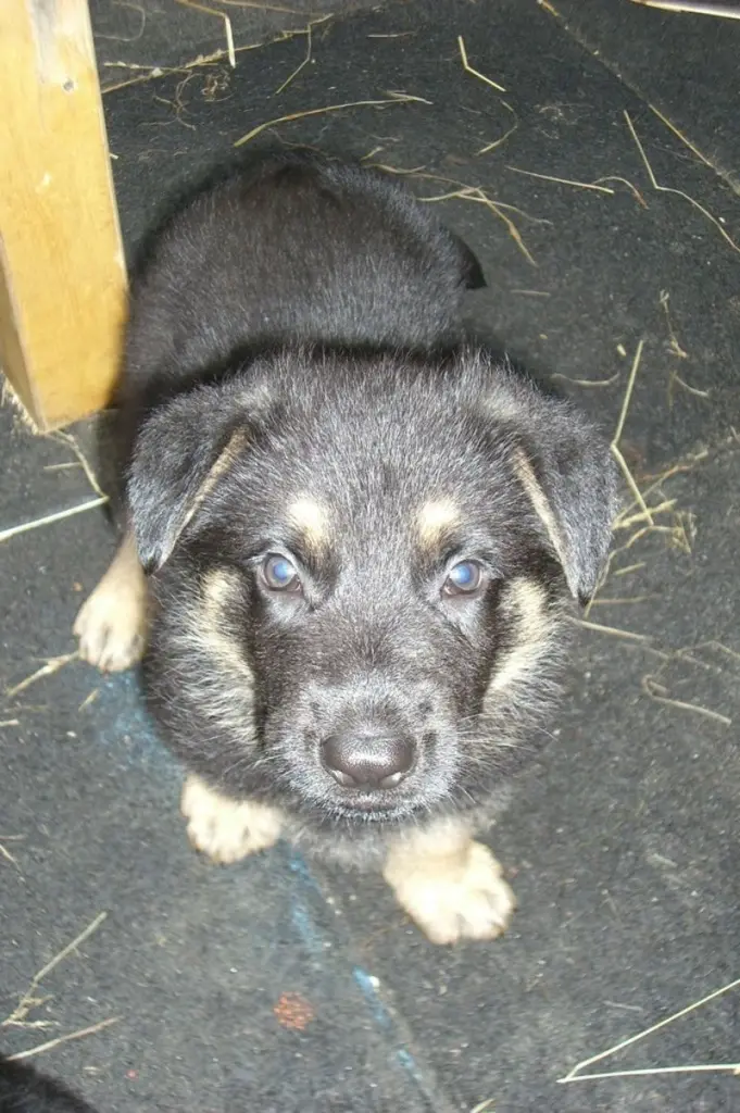Condolence image of Marcel