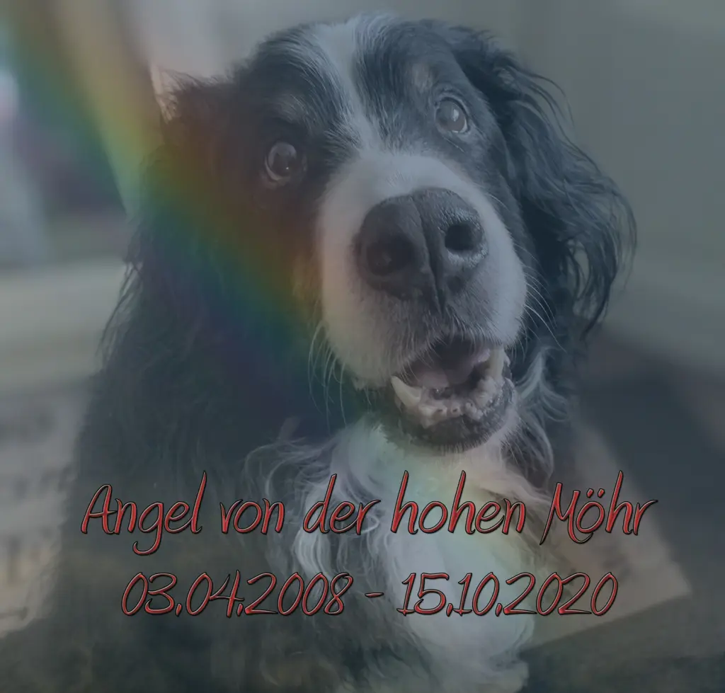 Image from Angel