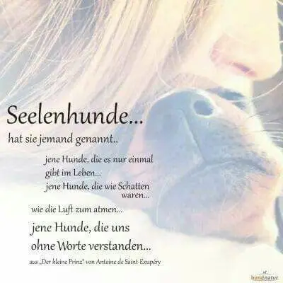 Andachtsbild von Andrea mit Minki im ❤ gest.19.10.20