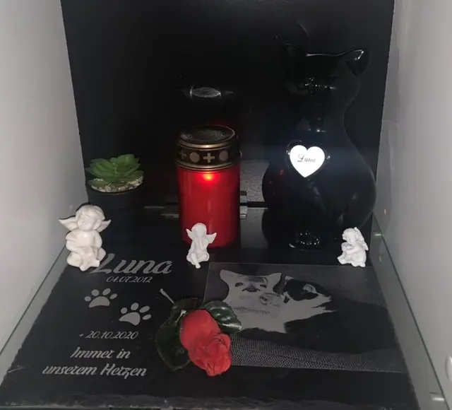 Image from Luna