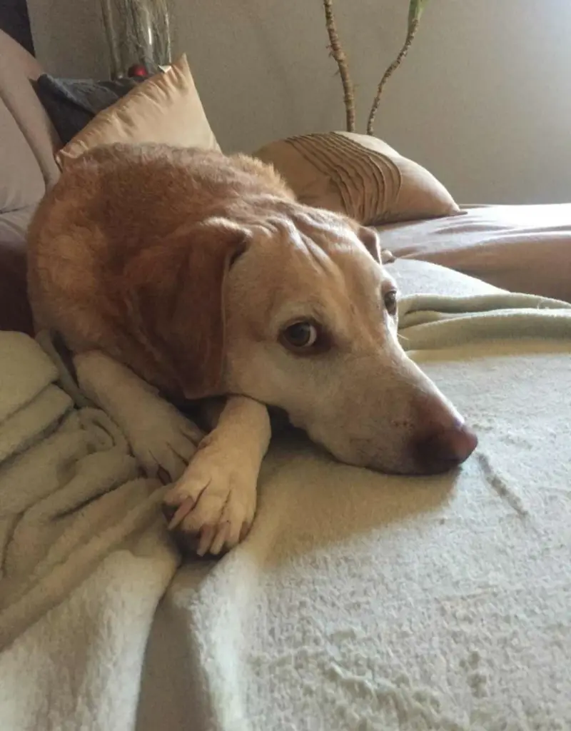 Condolence image of Jens Bandit