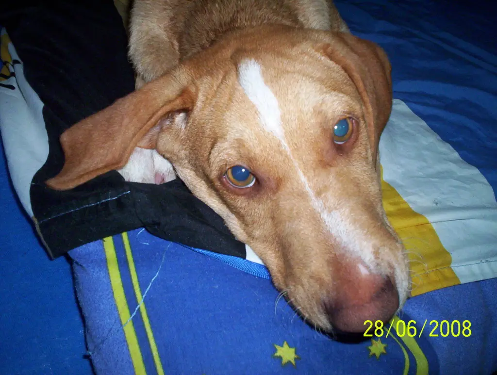 Image from Nico
