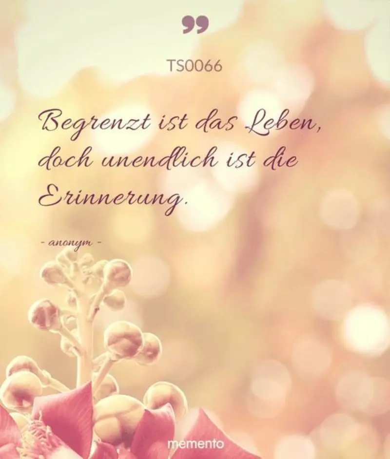 Condolence image of Andrea mit Minki im ❤ gest.19.10.2020