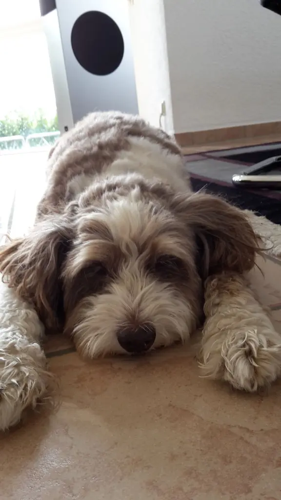 Condolence image of Bettina