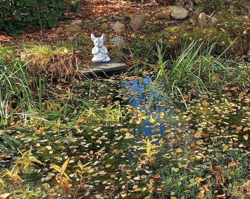 Condolence image of Unbekannt