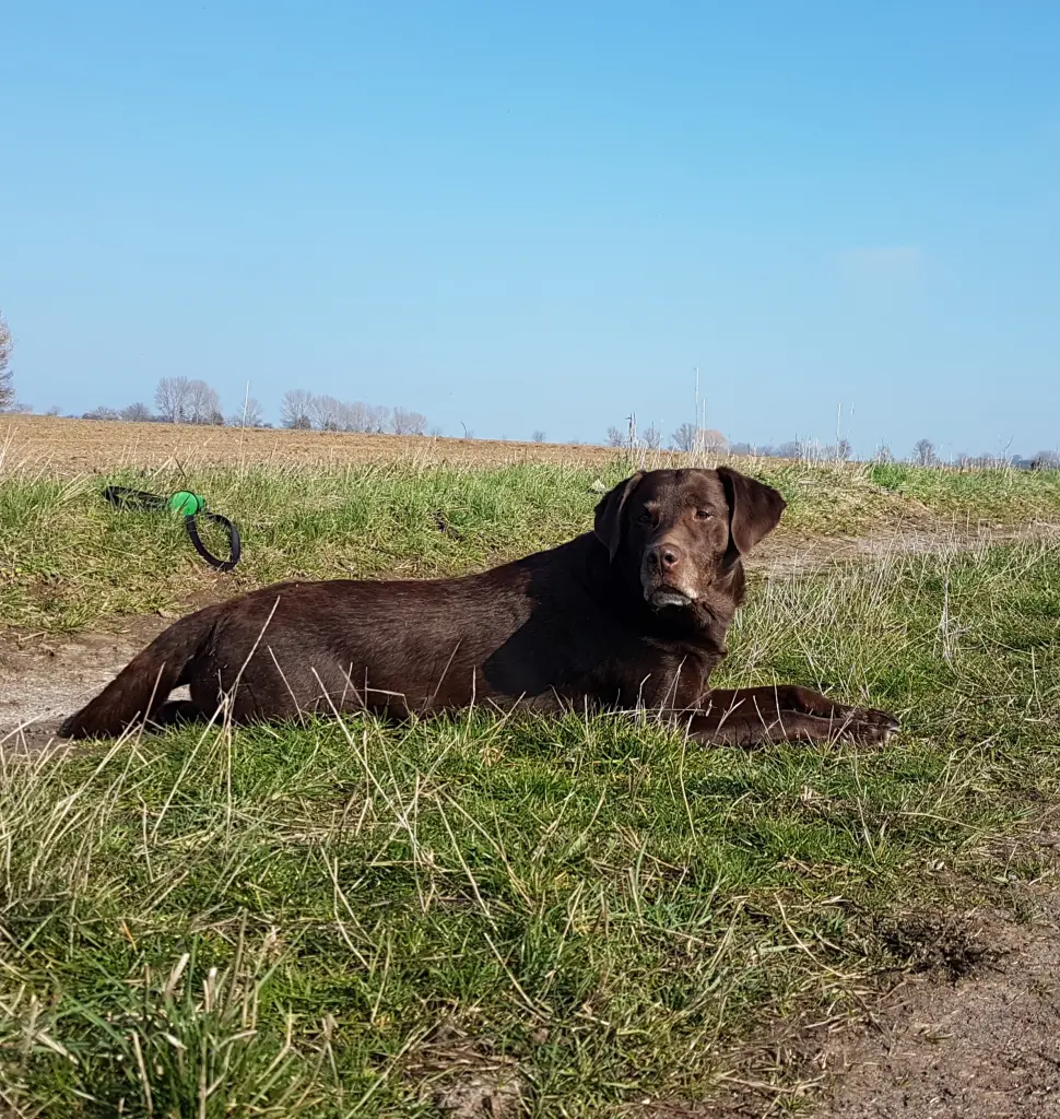 Andachtsbild von Silvana