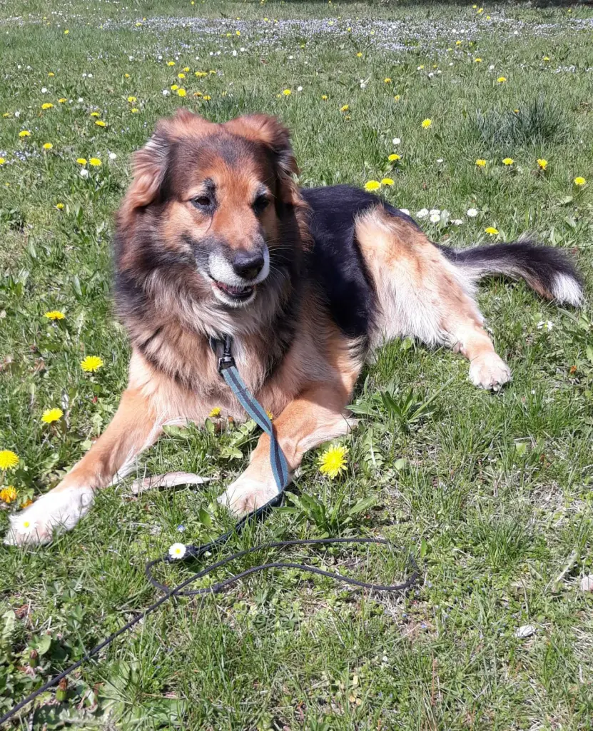 Bild von Apollo