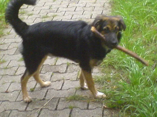 Bild von Apollo