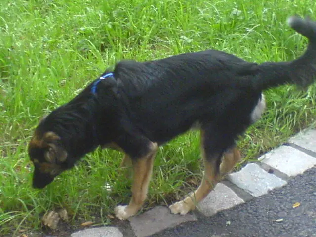 Bild von Apollo
