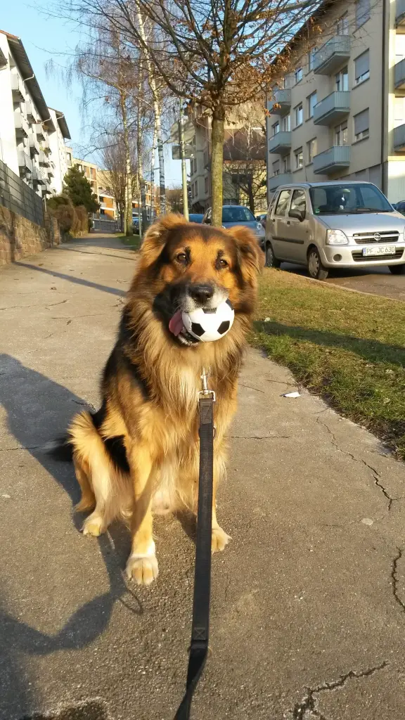 Bild von Apollo