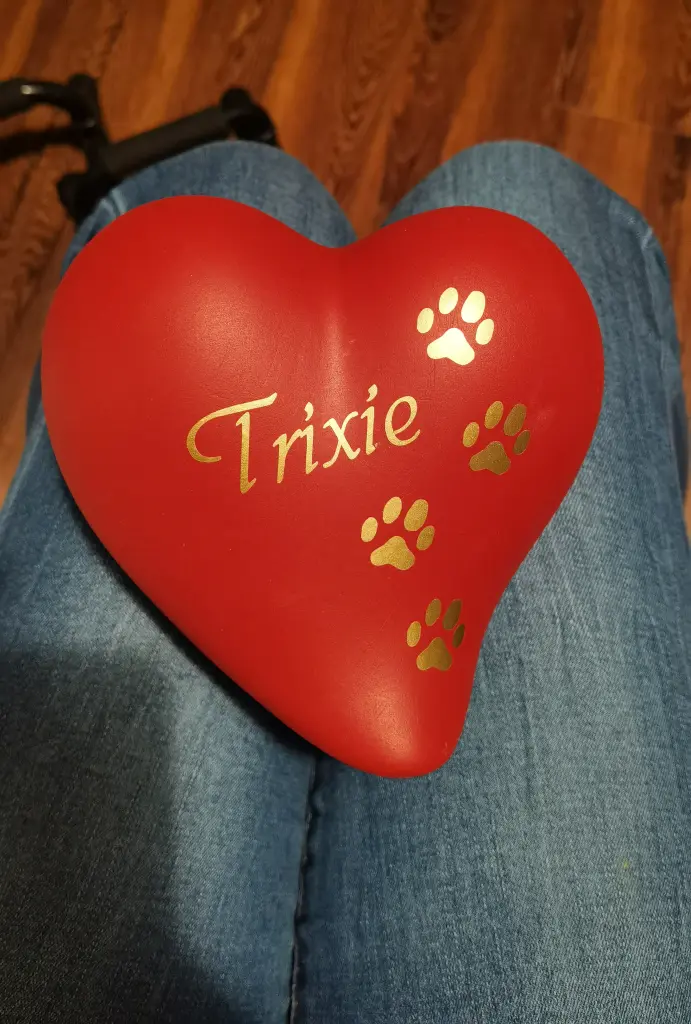 Image from Trixie