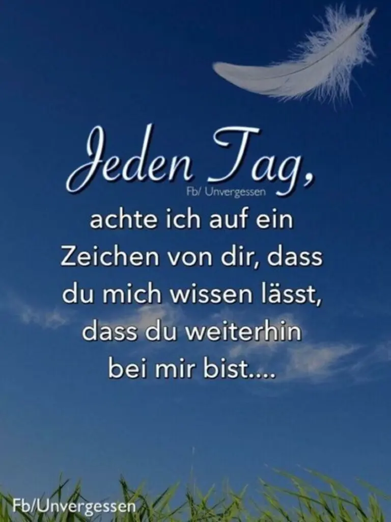 Condolence image of Katrin und Katzi im ❤️