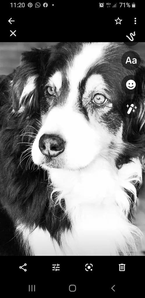 Image from Lucky