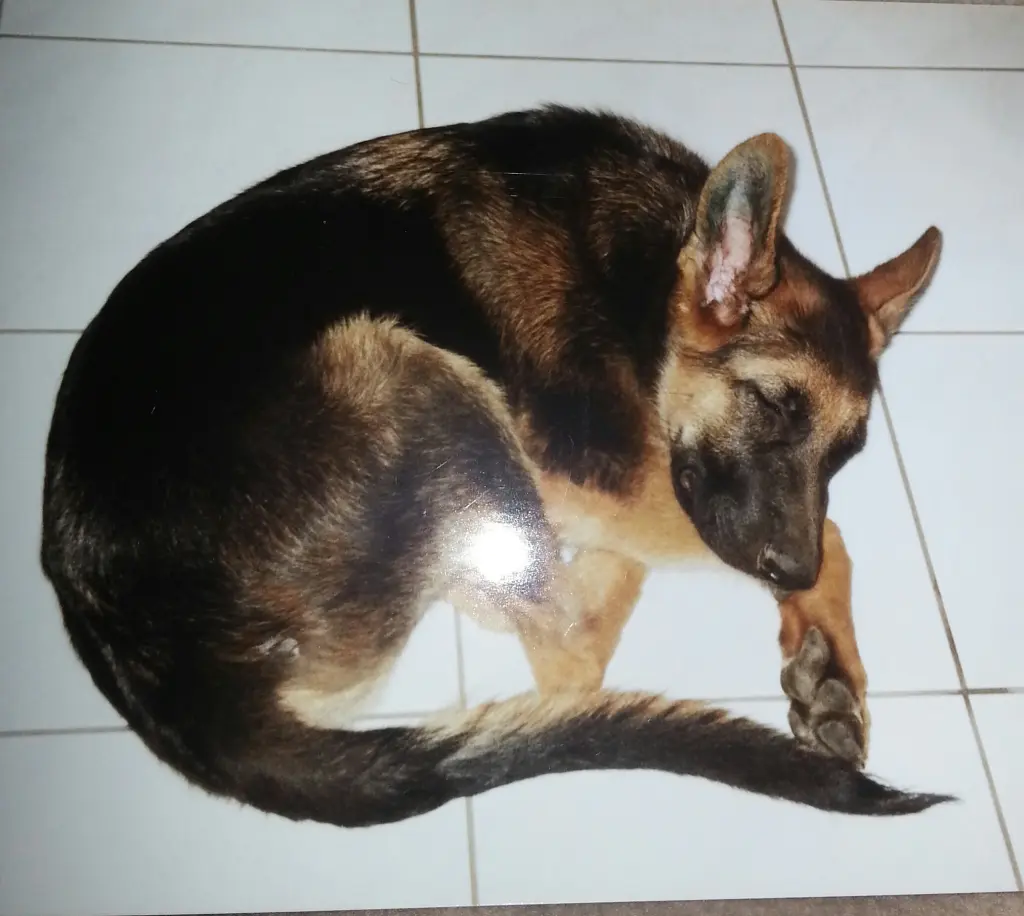 Condolence image of Susanne