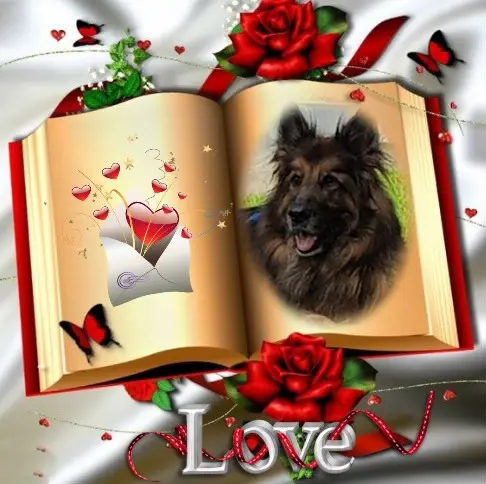 Condolence image of Dzień Dobry mój Ukochany❤️❤️❤️Misieńku❤️❤️❤️