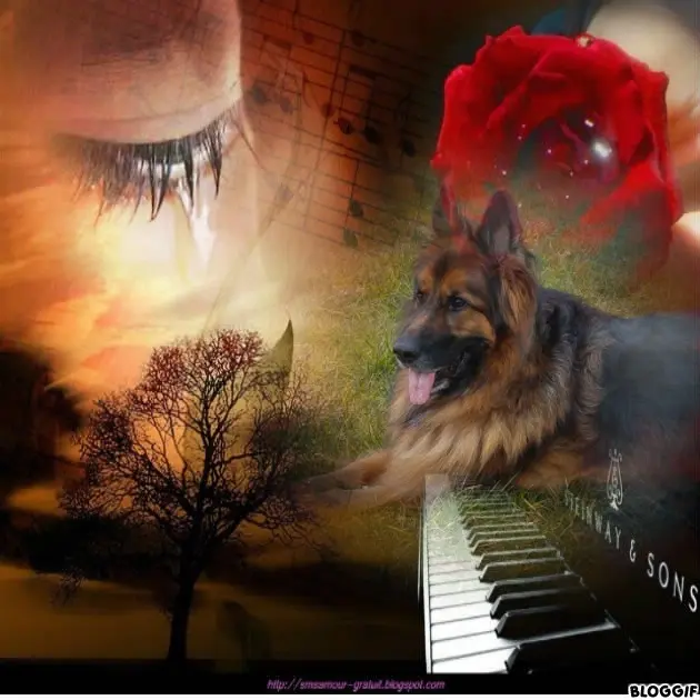 Condolence image of Dzień Dobry mój Ukochany❤️❤️❤️Misieńku❤️❤️❤️