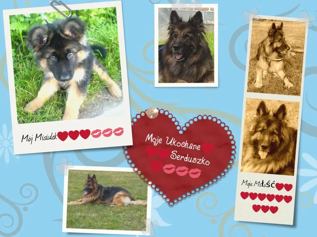 Condolence image of Dzień Dobry mój Ukochany❤️❤️❤️Misieńku❤️❤️❤️