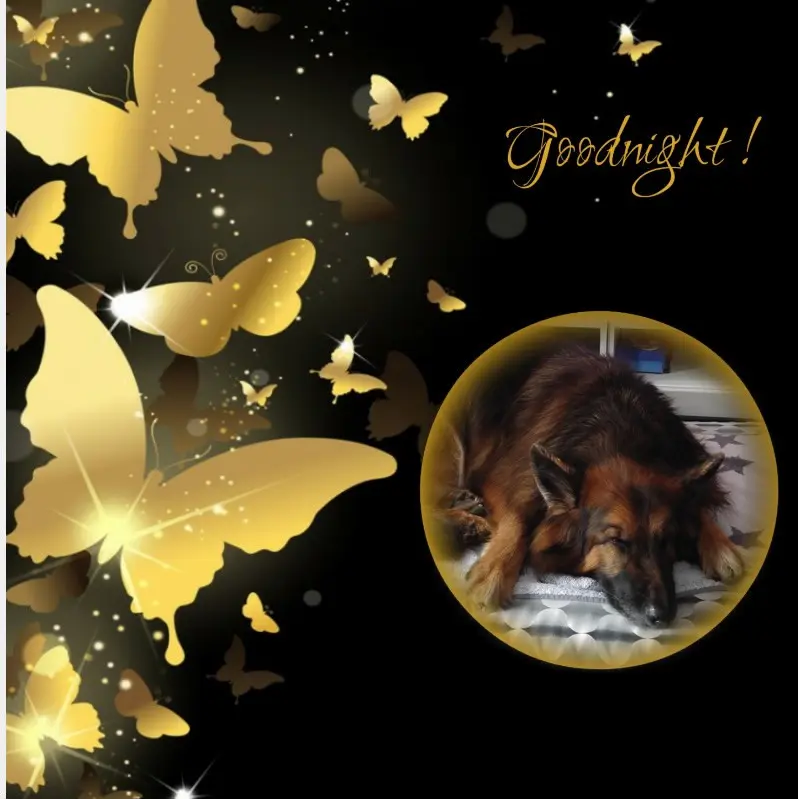 Condolence image of Dobrej Nocki Ukochany Misieńku❤️❤️❤️
