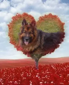 Condolence image of Dzień Dobry mój Ukochany❤️❤️❤️Misieńku❤️❤️❤️