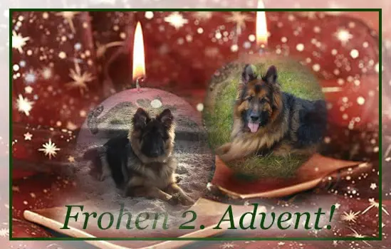 Condolence image of Ukochany❤️❤️❤️❤️❤️Misiaczku❤️❤️❤️