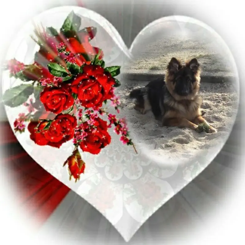Condolence image of Dzień Dobry mój Ukochany❤️❤️❤️Misieńku❤️❤️❤️