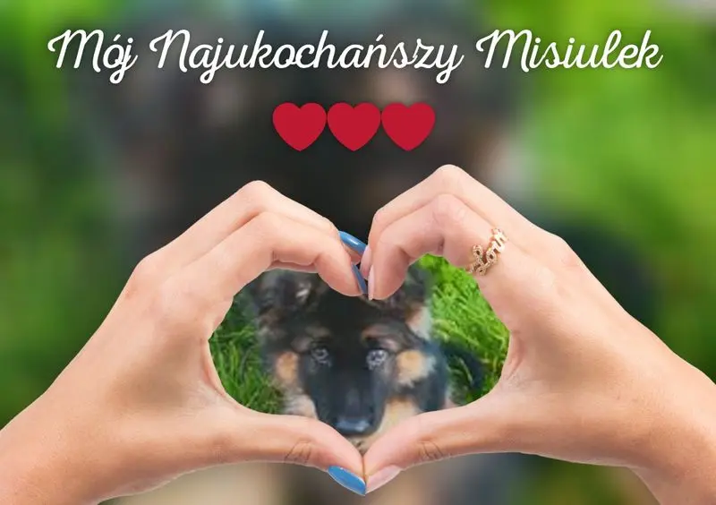 Condolence image of Dzień Dobry mój Ukochany❤️❤️❤️Misieńku❤️❤️❤️