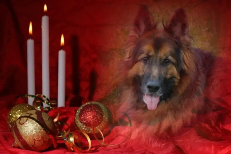 Condolence image of Dzień Dobry mój Ukochany❤️❤️❤️Misieńku❤️❤️❤️