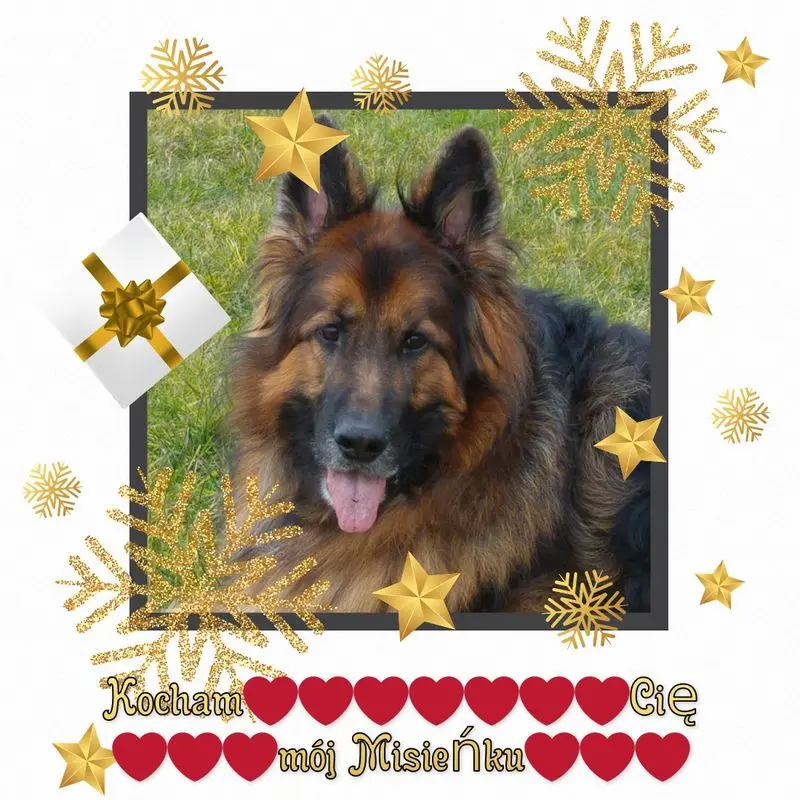 Condolence image of Mój Misiulek❤❤❤