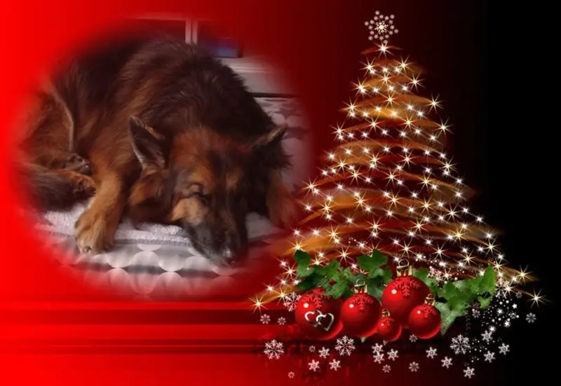 Condolence image of Dobrej Nocki Ukochany Misieńku❤️❤️❤️