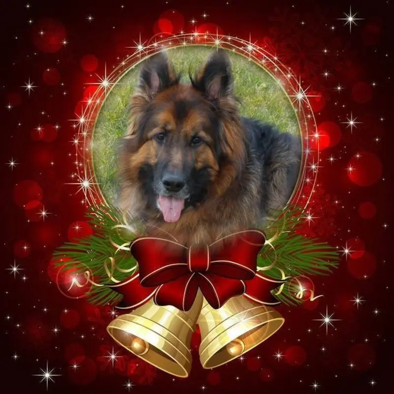 Condolence image of Mój Misiulek❤❤❤