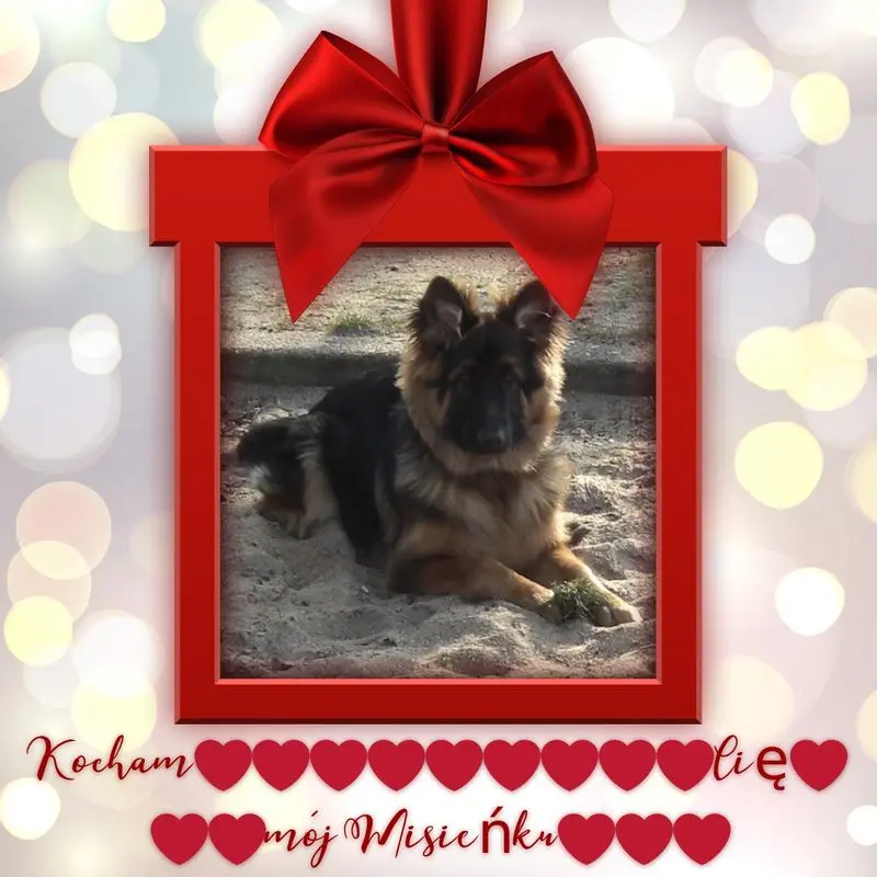 Condolence image of Dzień Dobry mój Ukochany❤️❤️❤️Misieńku❤️❤️❤️