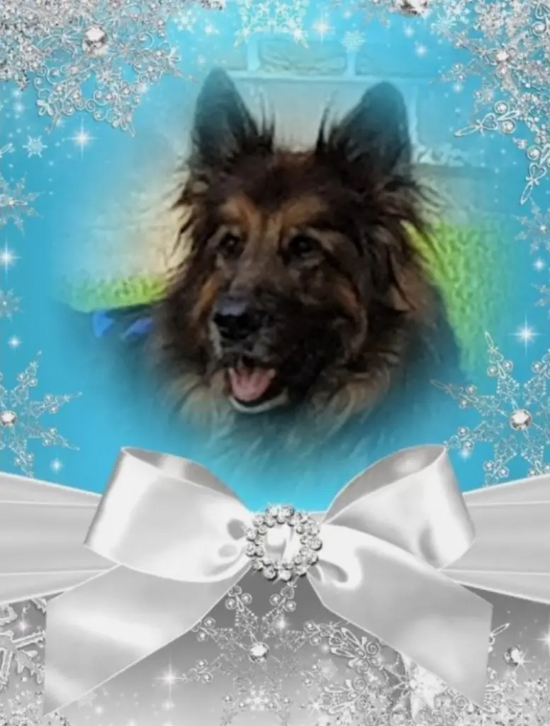 Condolence image of Dzień Dobry mój Ukochany❤️❤️❤️Misieńku❤️❤️❤️
