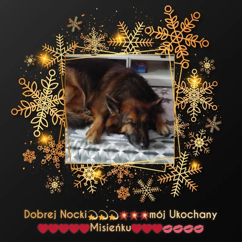 Condolence image of Dobrej Nocki Ukochany Misieńku❤️❤️❤️