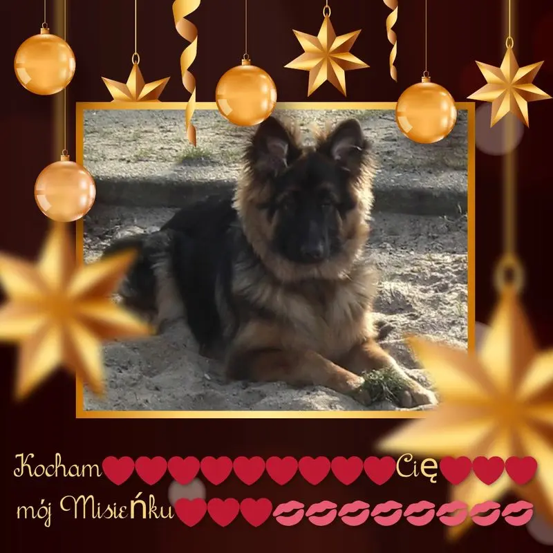 Condolence image of Kocham Cię❤❤❤