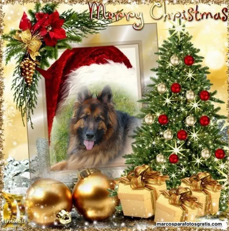 Condolence image of Dzień Dobry mój Ukochany❤️❤️❤️Misieńku❤️❤️❤️