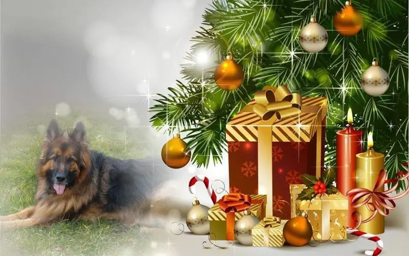 Condolence image of Dzień Dobry mój Ukochany❤️❤️❤️Misieńku❤️❤️❤️