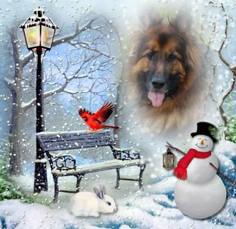 Condolence image of Dzień Dobry mój Ukochany❤️❤️❤️Misieńku❤️❤️❤️