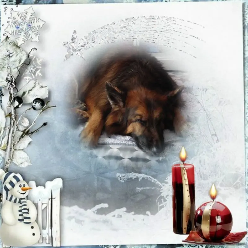 Condolence image of Dobrej Nocki Ukochany Misieńku❤️❤️❤️
