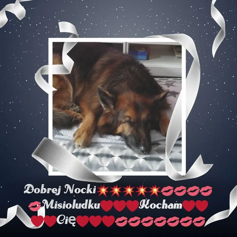 Condolence image of Dobrej Nocki Ukochany Misieńku❤️❤️❤️