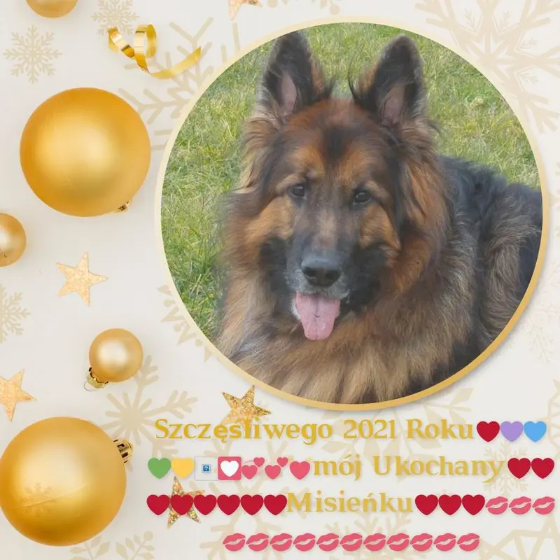 Condolence image of Dzień Dobry mój Ukochany❤️❤️❤️Misieńku❤️❤️❤️