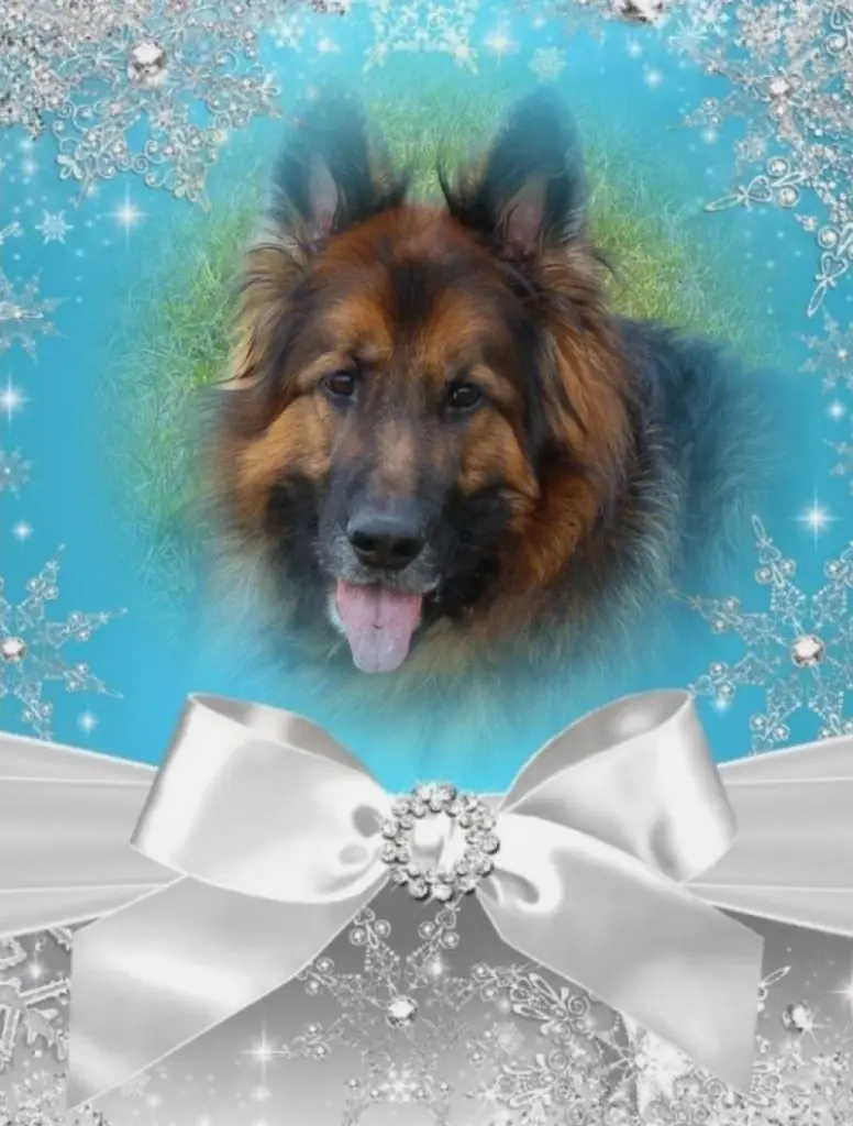 Condolence image of Dzień Dobry mój Ukochany❤️❤️❤️Misieńku❤️❤️❤️