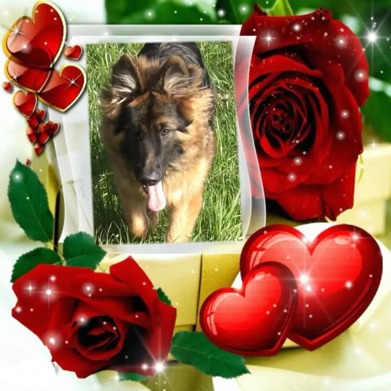 Condolence image of Dzień Dobry mój Ukochany❤️❤️❤️Misieńku❤️❤️❤️
