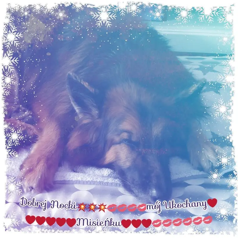 Condolence image of Dobrej Nocki Ukochany Misieńku❤️❤️❤️