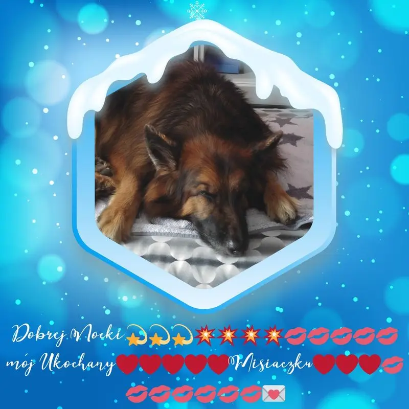 Condolence image of Dobrej Nocki Ukochany Misieńku❤️❤️❤️