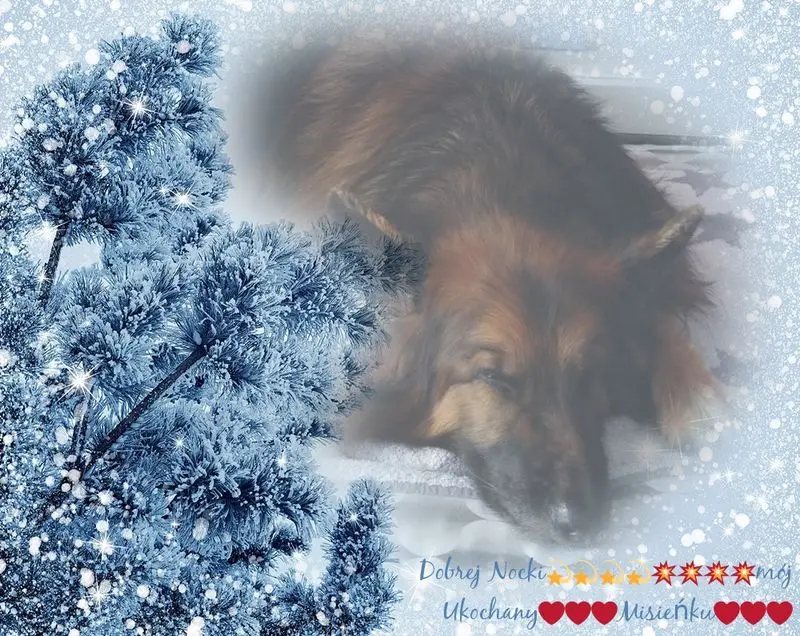 Condolence image of Dobrej Nocki Ukochany Misieńku❤️❤️❤️