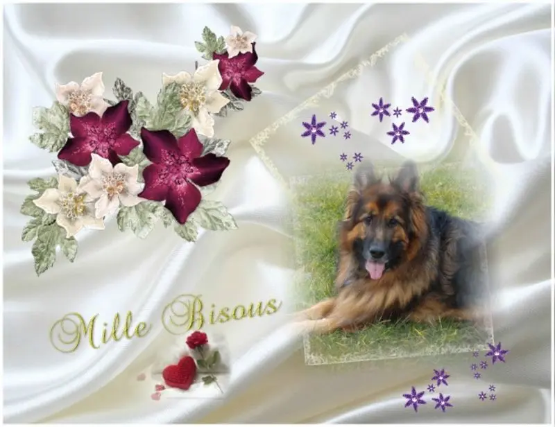 Condolence image of Dzień Dobry mój Ukochany❤️❤️❤️Misieńku❤️❤️❤️