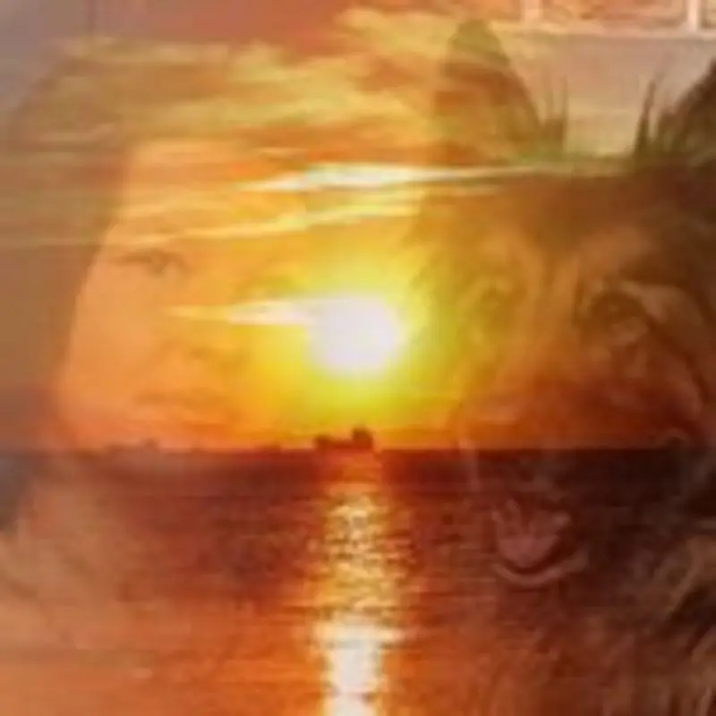 Condolence image of Evelyn