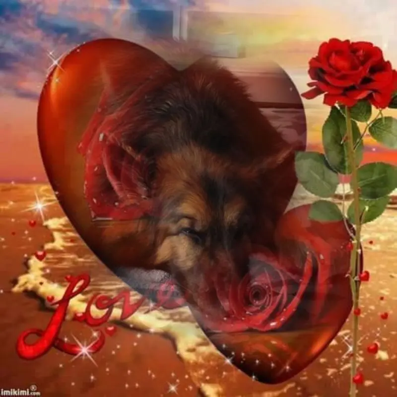 Condolence image of Dobrej Nocki Ukochany Misieńku❤️❤️❤️