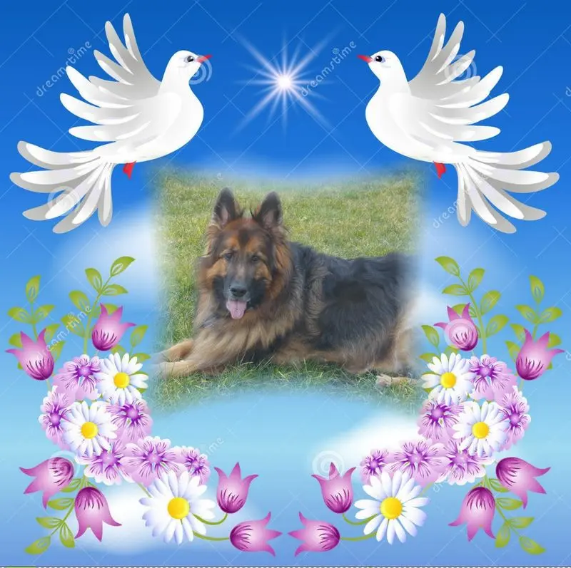 Condolence image of Dzień Dobry mój Ukochany❤️❤️❤️Misieńku❤️❤️❤️