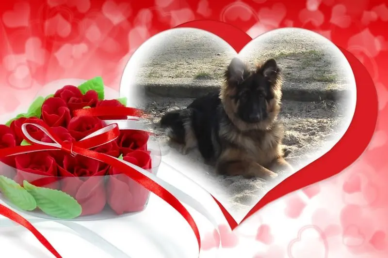 Condolence image of Dzień Dobry mój Ukochany❤️❤️❤️Misieńku❤️❤️❤️